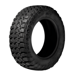 Pneu Delinte 20" 33X12.50 R20 114Q DX-9 M/T BANDIT LT 10PR Cód.1828